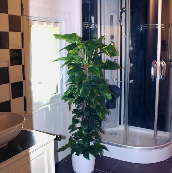 Les Rocailles Bed and Breakfast Lamonzie-Montastruc Buitenkant foto